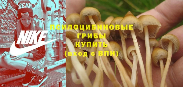 каннабис Нефтекумск