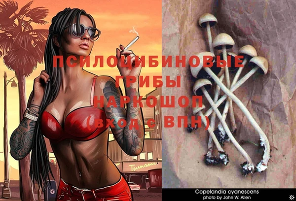 наркотики Новозыбков