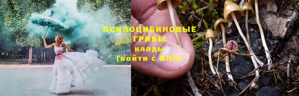 спайс Нея
